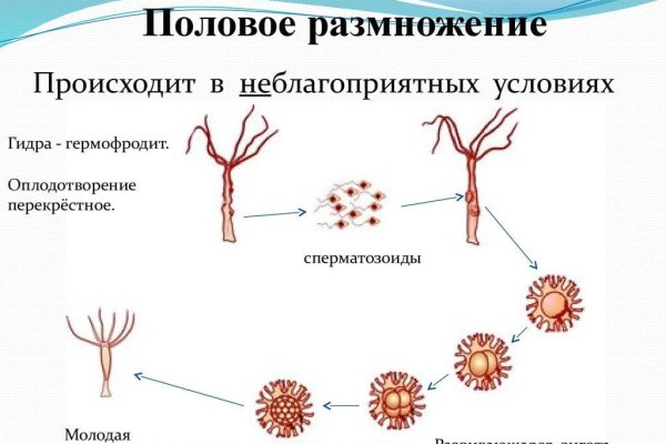 Как загрузить фото в блэкспрут