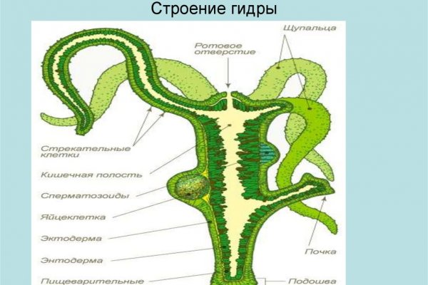 Омг гидра ссылка