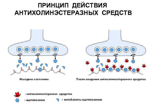 Ссылка на kraken в тор браузер